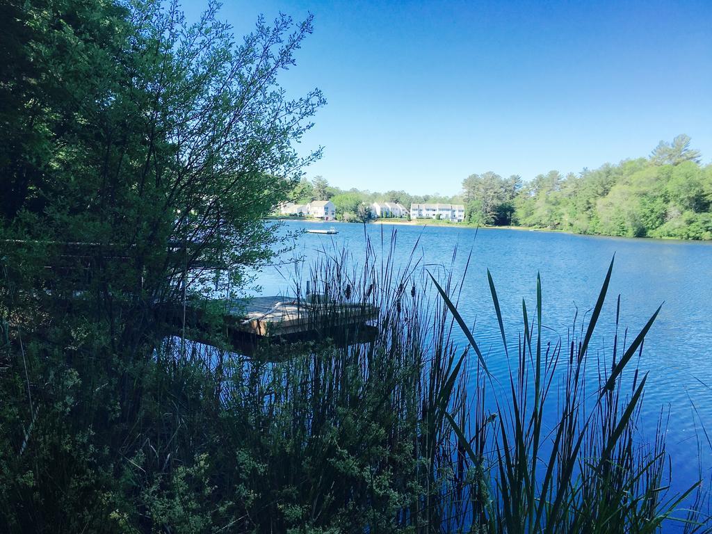 Clear Pond Getaway Apartment Plymouth Bagian luar foto