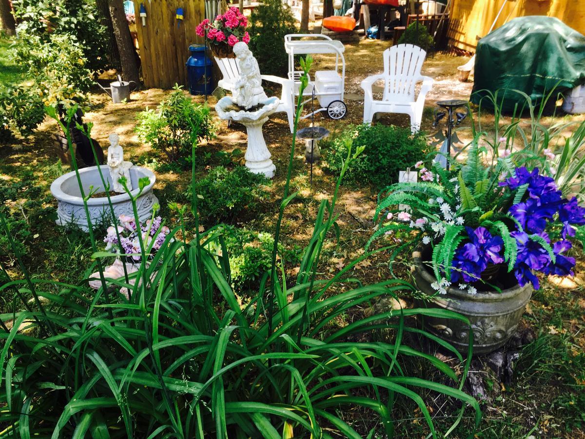 Clear Pond Getaway Apartment Plymouth Bagian luar foto