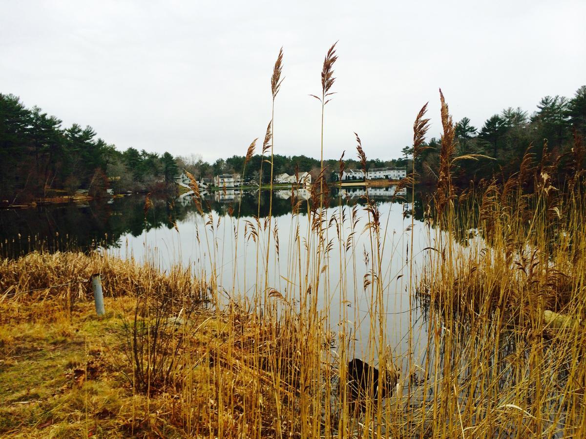 Clear Pond Getaway Apartment Plymouth Bagian luar foto