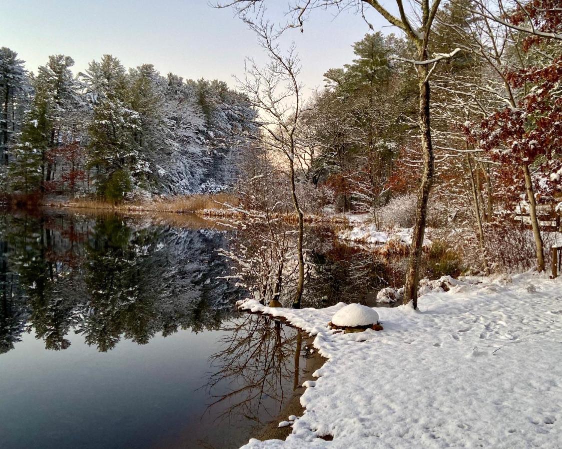 Clear Pond Getaway Apartment Plymouth Bagian luar foto