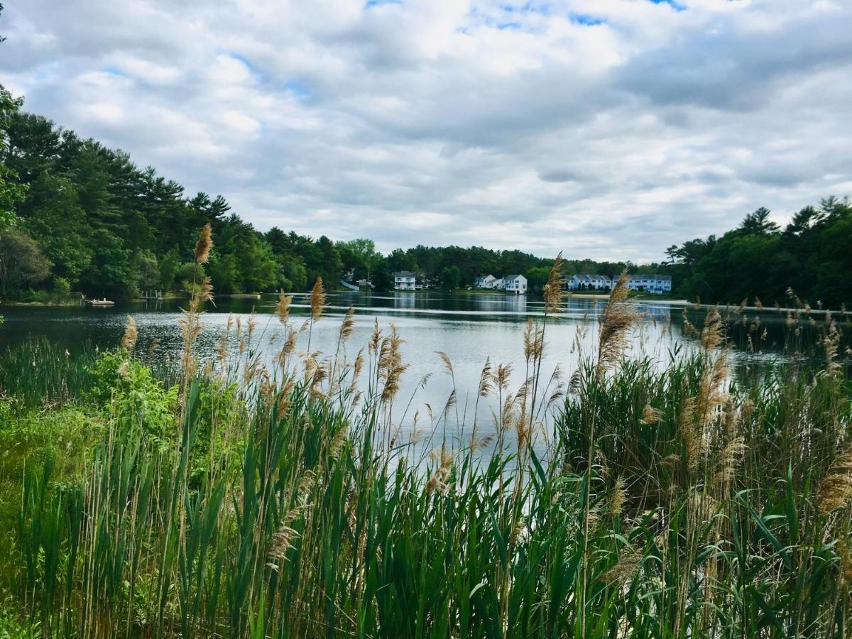 Clear Pond Getaway Apartment Plymouth Bagian luar foto