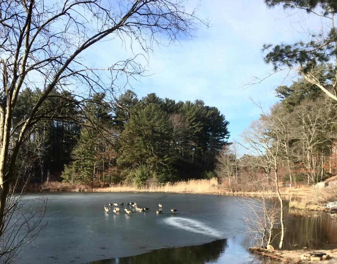 Clear Pond Getaway Apartment Plymouth Bagian luar foto